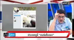 โจรเล่นกับหมา