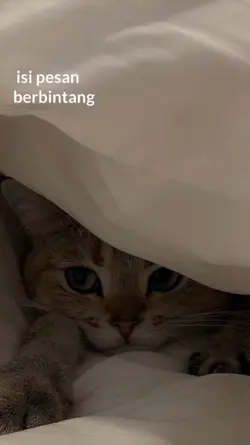 PESAN BERBINTANG 