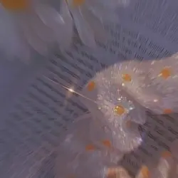 𝚂𝚝𝚊𝚢