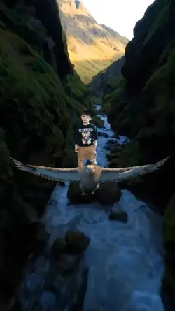 terbang bareng elang