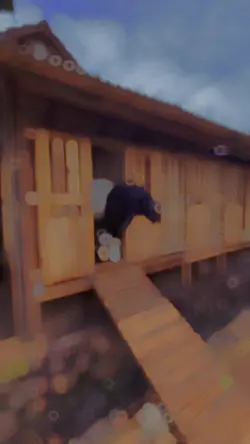 Kambing cinematic