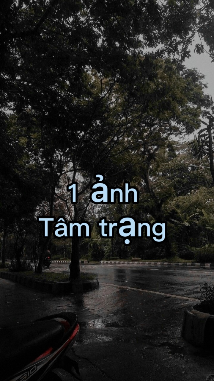 1 ảnh  tâm trạng