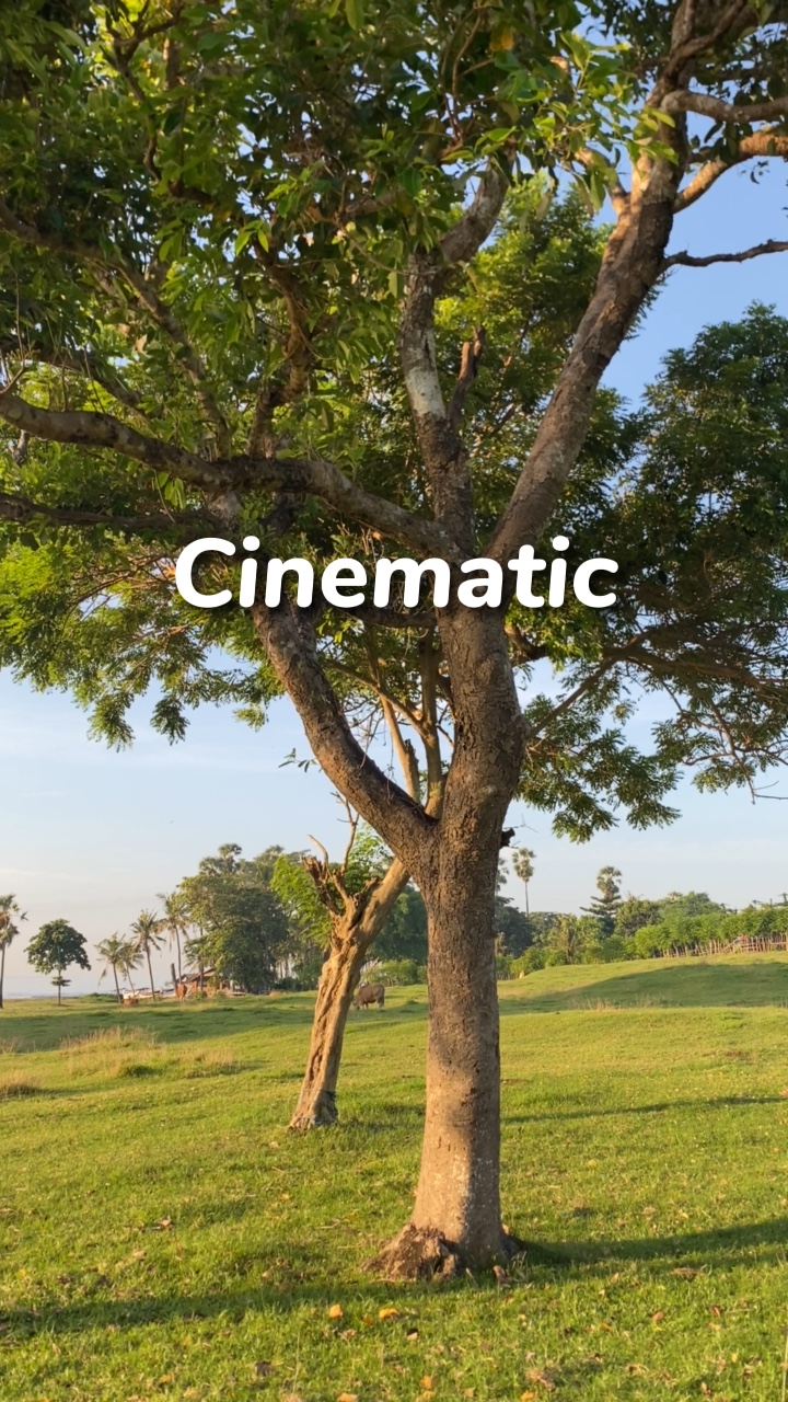 Canção da natureza