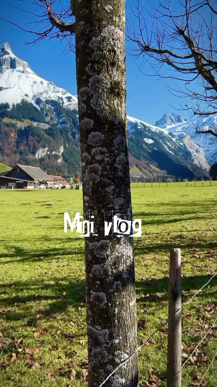 Olá alegria