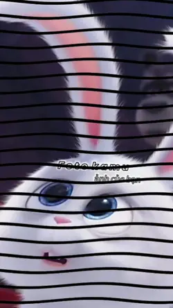 Mẫu 4 ảnh giật giật 