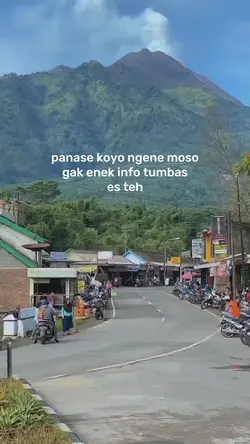 minggu panse poll