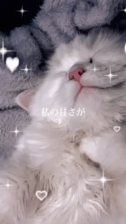 マリンせんちょう