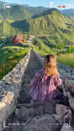 1video