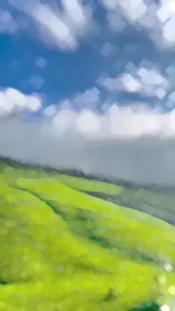 1 video