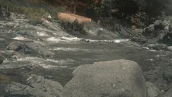 time lapse