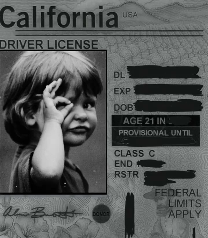 Driver License