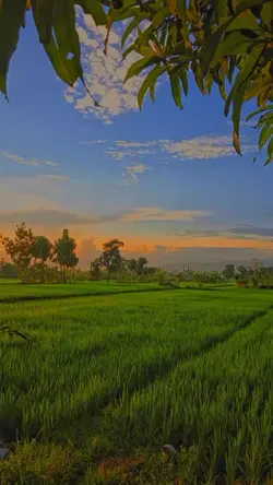 Doa memulai pagi