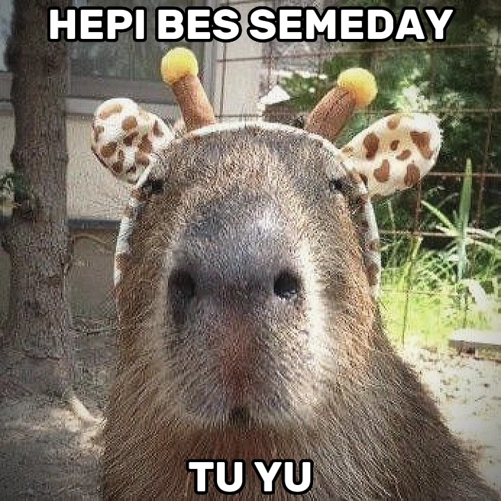 Meme feliz aniversário 