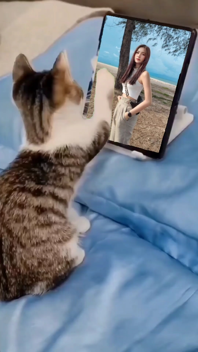 Kucing kangen ayank