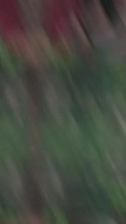 beat chạy ảnh nhanh.