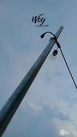 Viral di tiktok