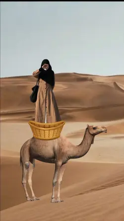 naik unta di gurun