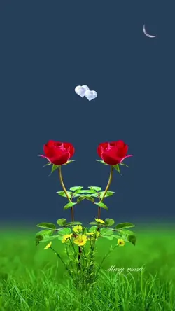 NGÀY MỚI VUI VẺ 