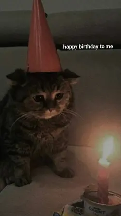 happy mtfcking birth