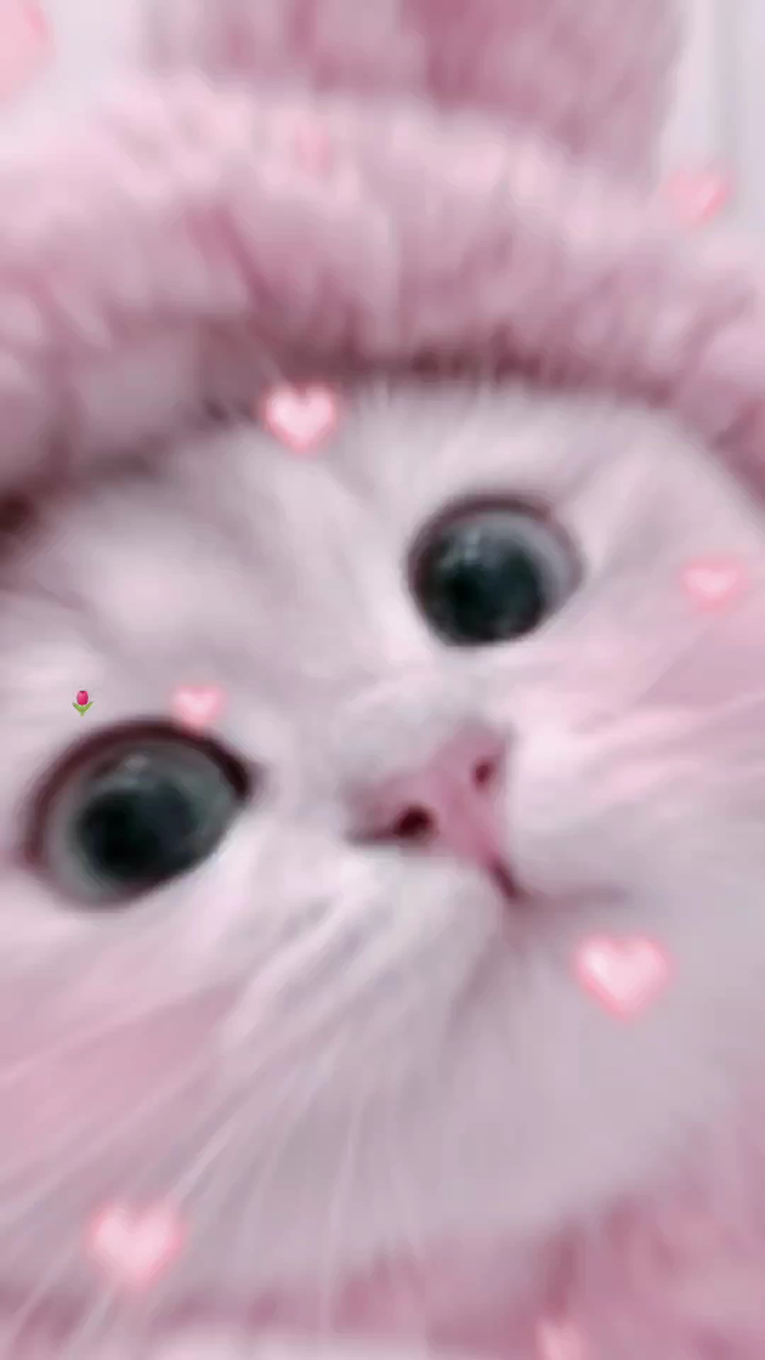 超かわ！かんたん編集