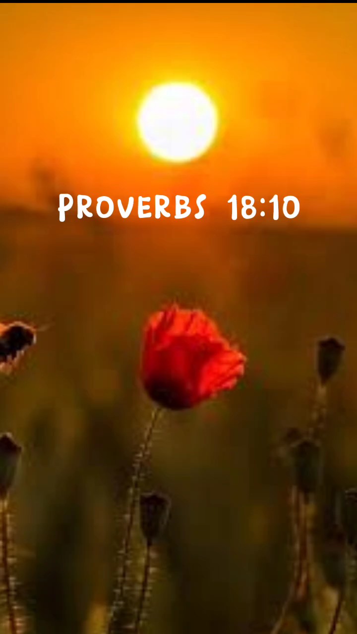 Proverbs 