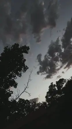 1รูป/วิดีโอ