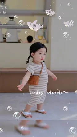 BABY SHARK🦈