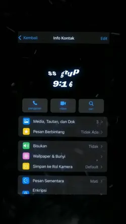 collab ber 4