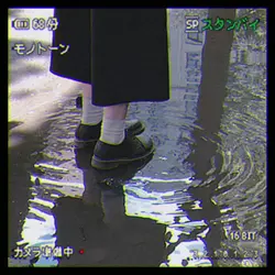 JAPAN VIBES