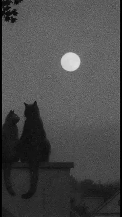 lirik lagu 