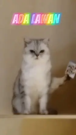 Ada Lawan