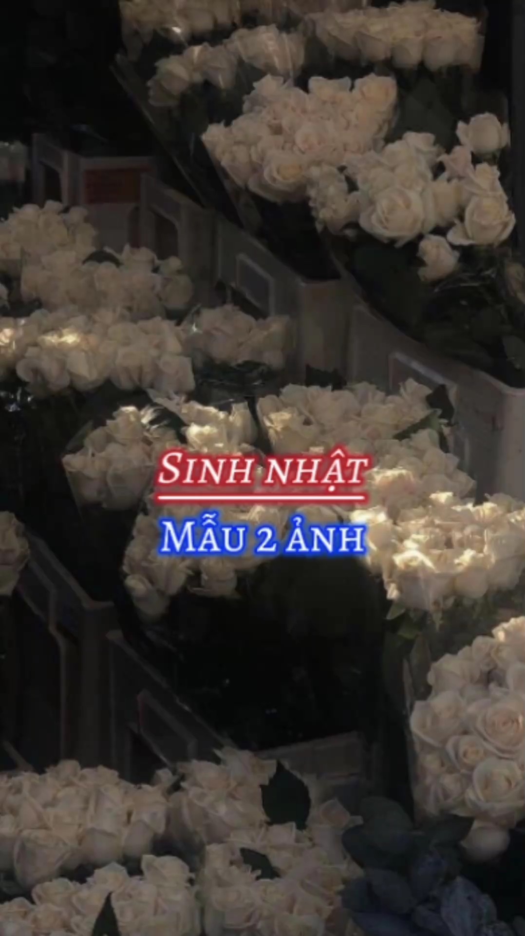 Sinh no