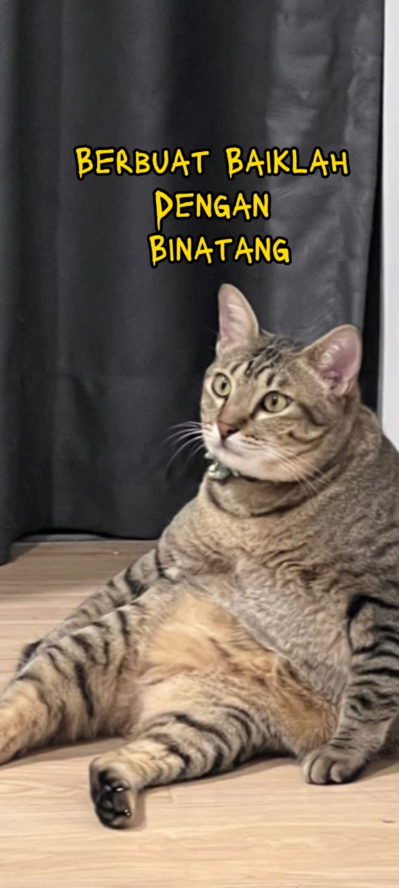 Baik dengan binatang