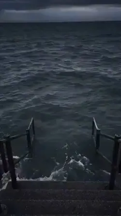 Meme Sea 