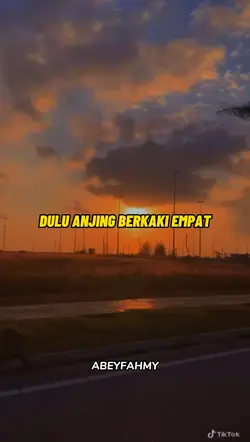 Anjing Zame Lornie