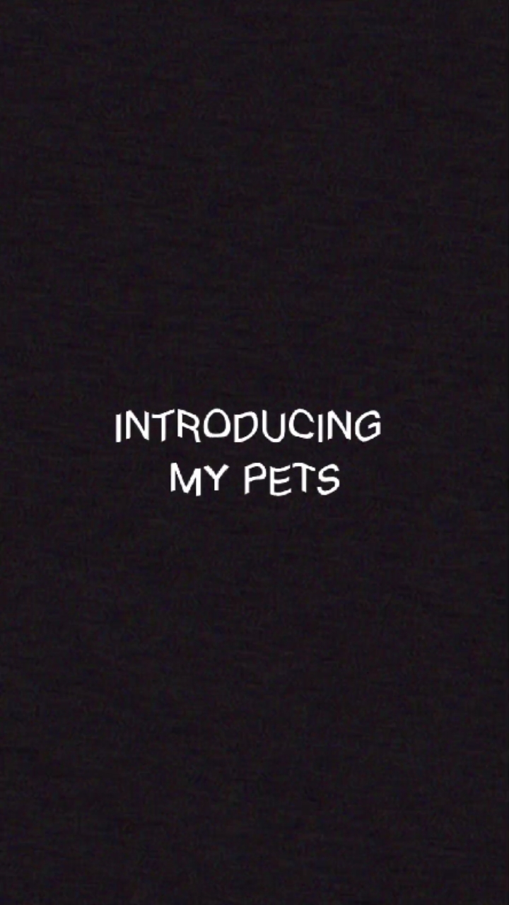 #Introducingmypets