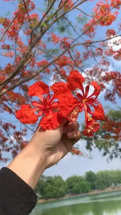 1วิดีโอ เพลินๆ