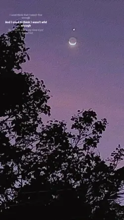 crescent moon  venus