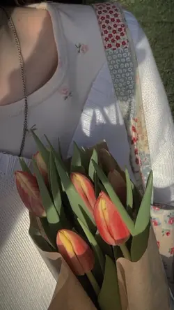 1 ảnh lyrics