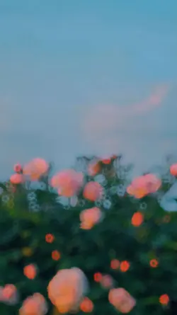 |•Mẫu 2 ảnh•|
