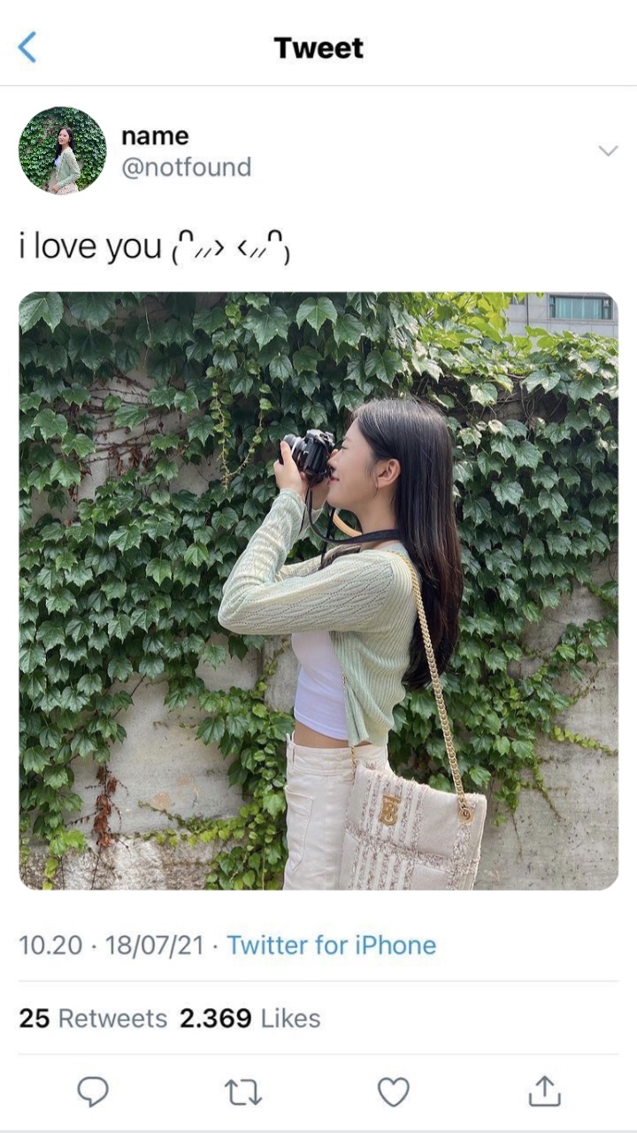 框架Twitter 2图片