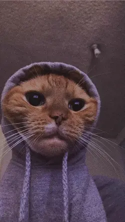 set fire to the rain