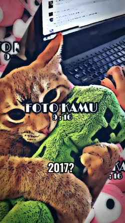 2017 VS 2022