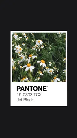 Pantone
