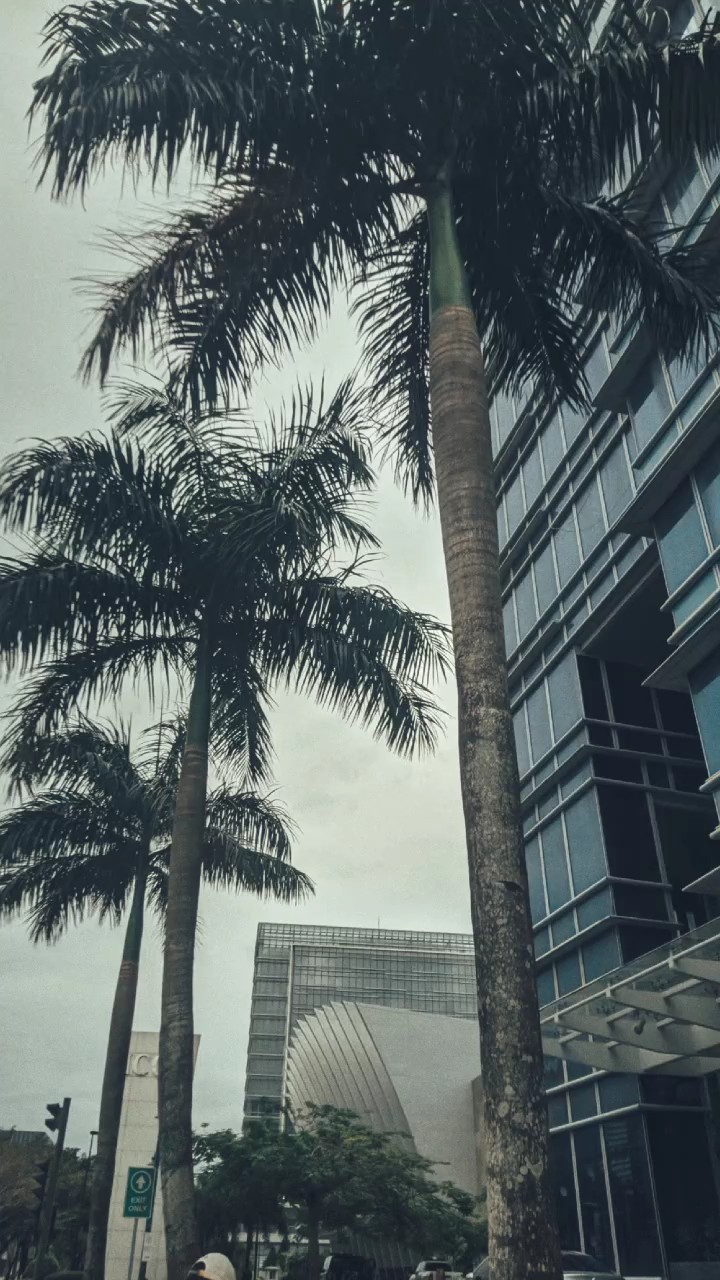 Aesthetic Photo