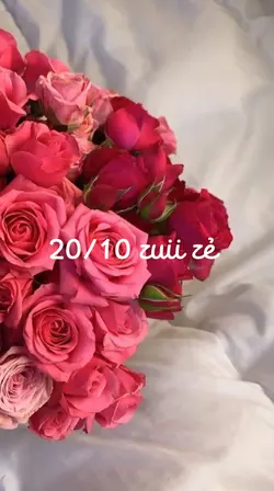 3 ảnh