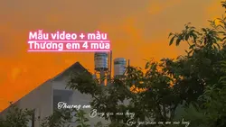 Thương em 4 mùa