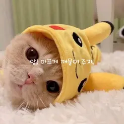 Q/A해요!