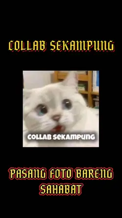 #Collab Sekampung