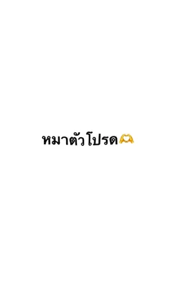 หมาตัวโปรด🫶